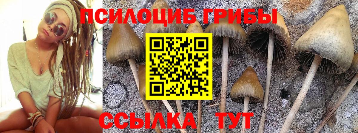 Галлюциногенные грибы Psilocybine cubensis  Галлюциногенные грибы Magic Shrooms  Вход с VPN  Калач-на-Дону 